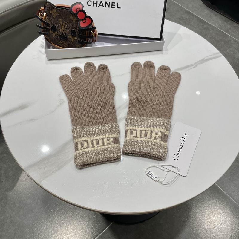 Dior gloves 77 (18)