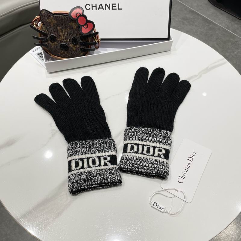 Dior gloves 77 (27)