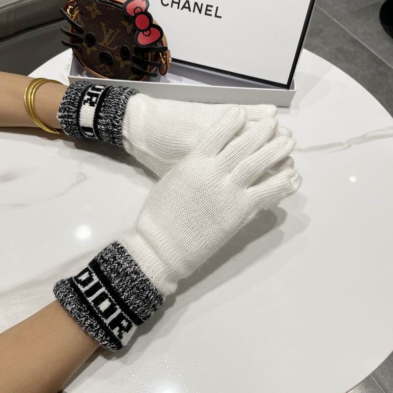 Dior gloves 77 (4)