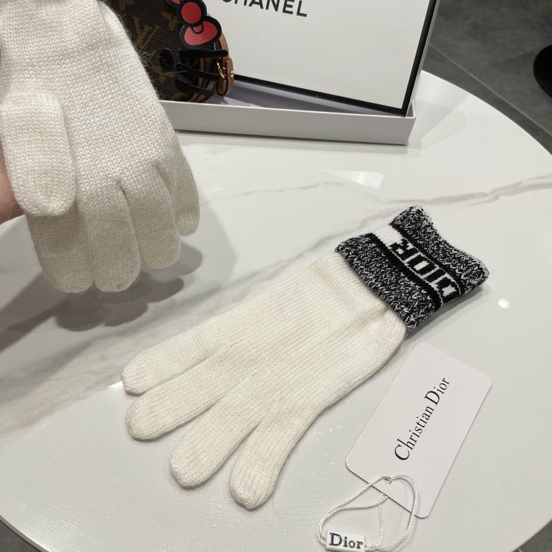 Dior gloves 77 (6)