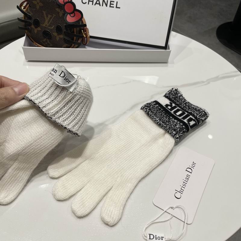 Dior gloves 77 (7)