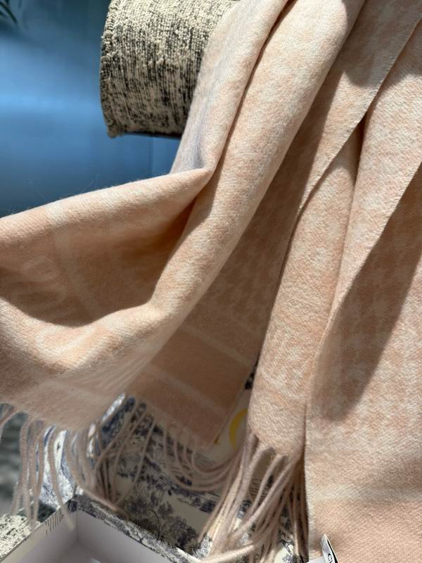 Dior scarf 45X200cm 100%山羊绒 E53 (1)