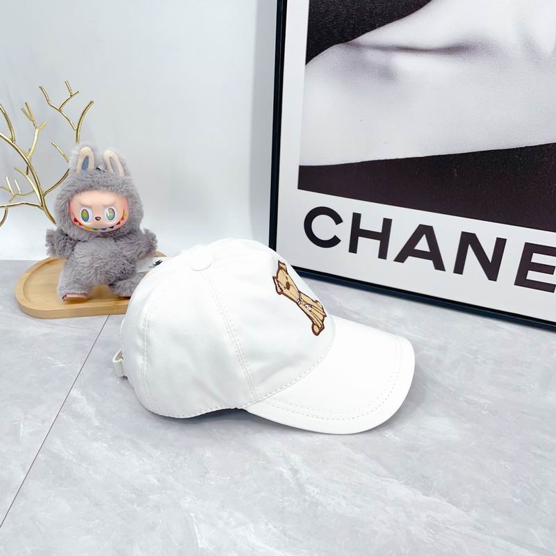 Fendi cap(高版本）dx (40)