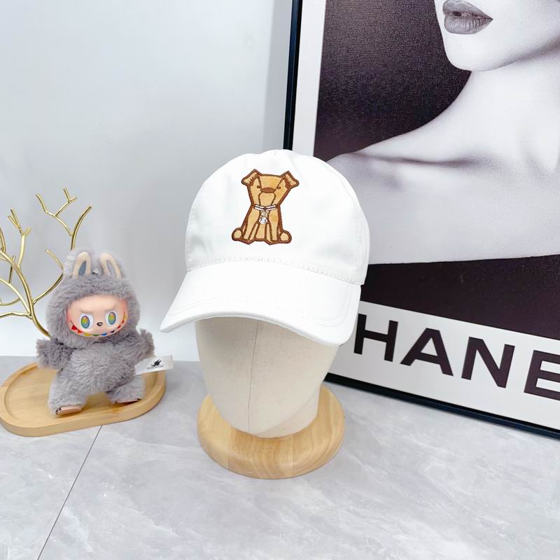 Fendi cap(高版本）dx (45)
