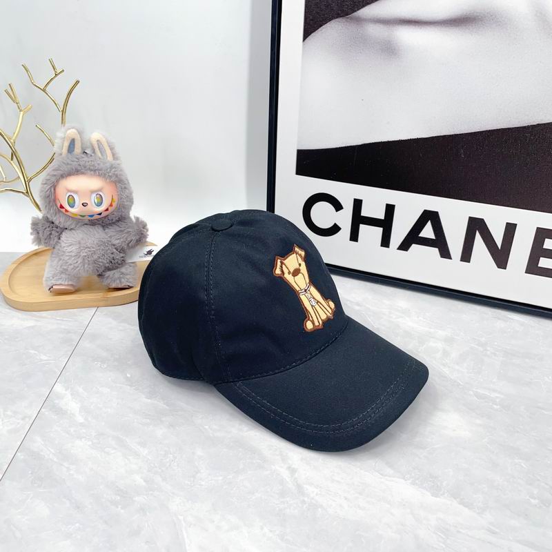 Fendi cap(高版本）dx (49)