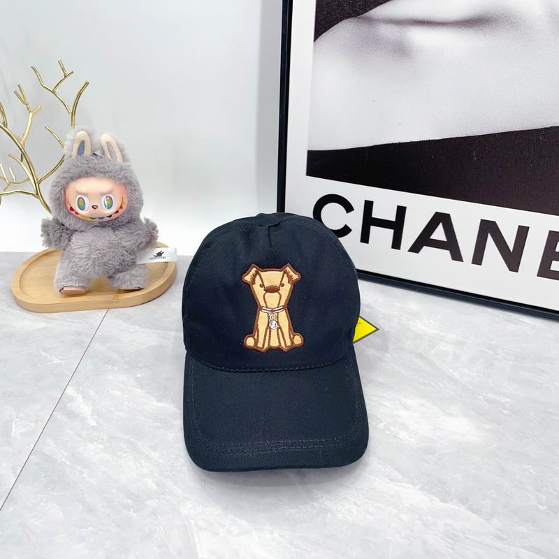 Fendi cap(高版本）dx (50)