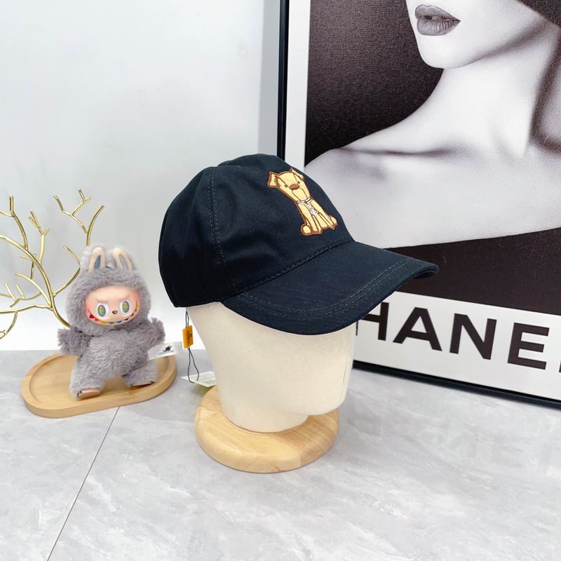 Fendi cap(高版本）dx (53)