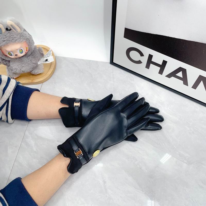 Hermes Gloves dx (227)