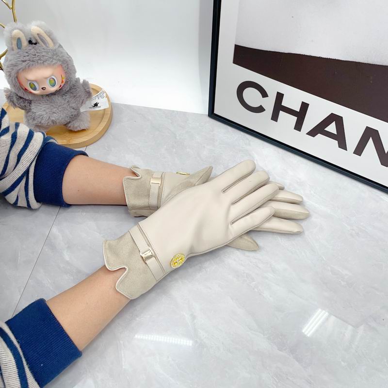 Hermes Gloves dx (236)