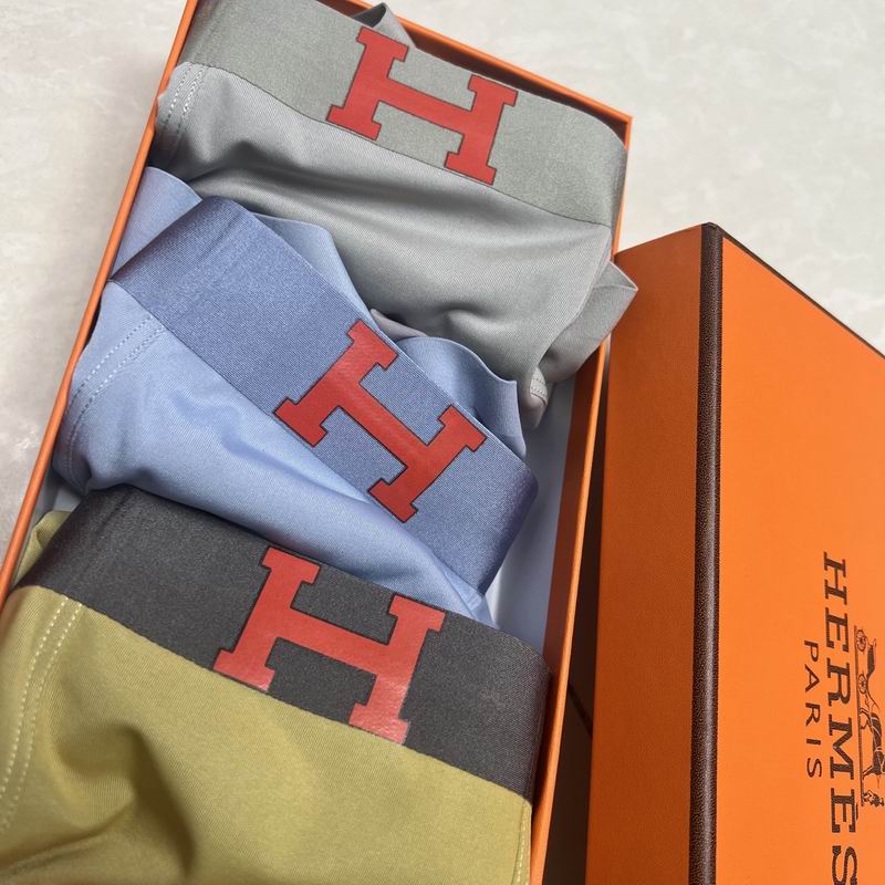 Hermes boxer L-4XL 17 (1)