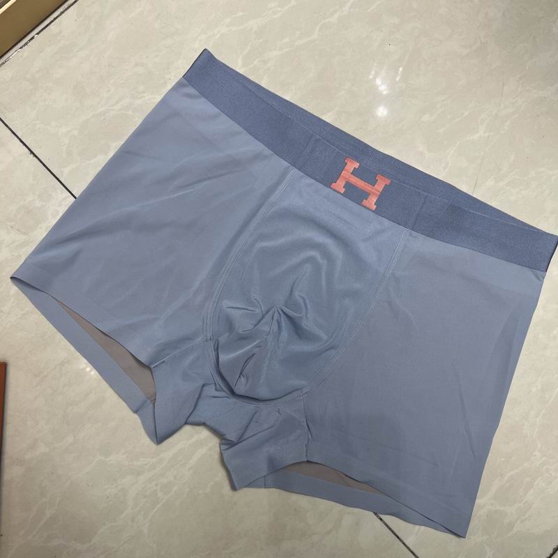 Hermes boxer L-4XL 17 (8)
