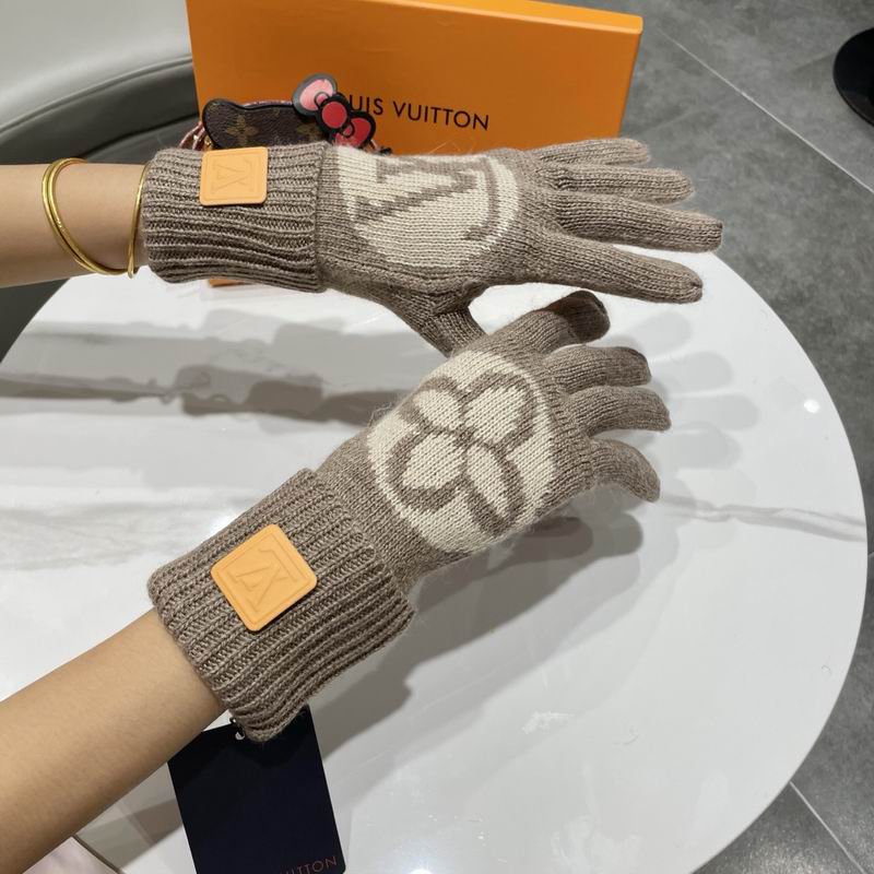 LV gloves 53 (22)