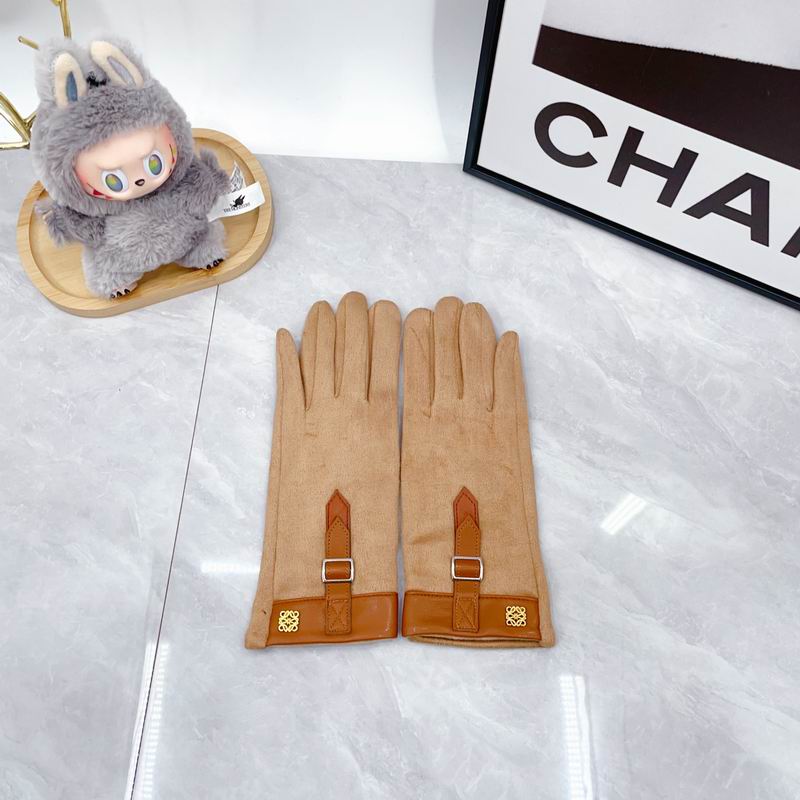 Loewe Gloves dx (59)