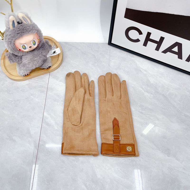 Loewe Gloves dx (61)