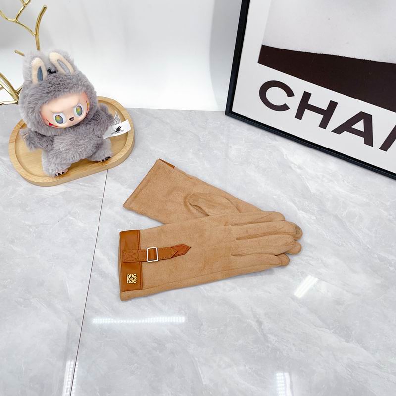 Loewe Gloves dx (62)