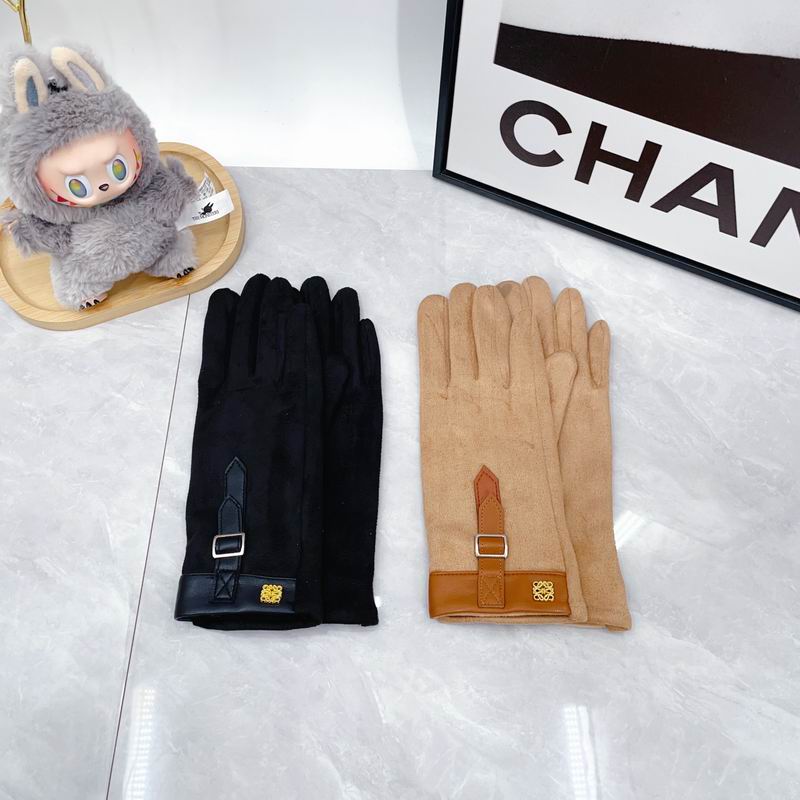 Loewe Gloves dx (63)