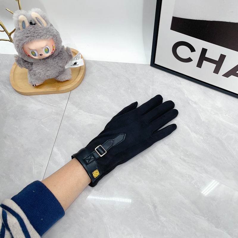 Loewe Gloves dx (67)