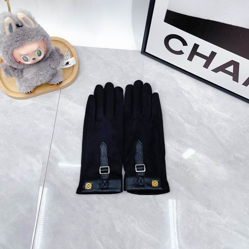 Loewe Gloves dx (68)