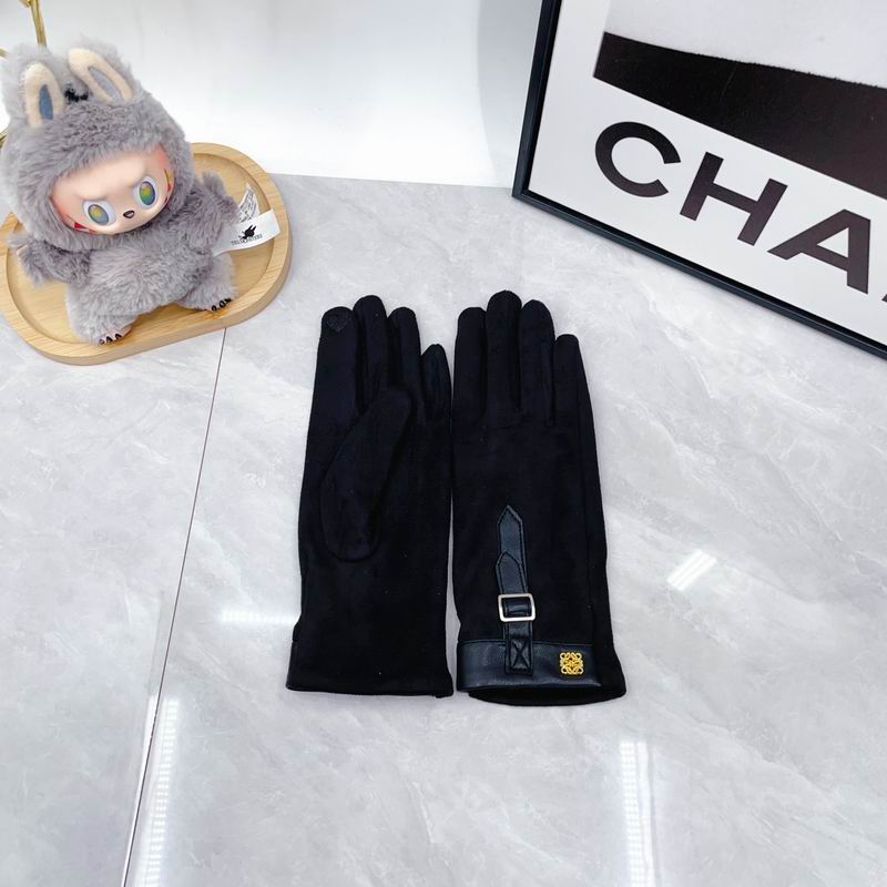 Loewe Gloves dx (70)