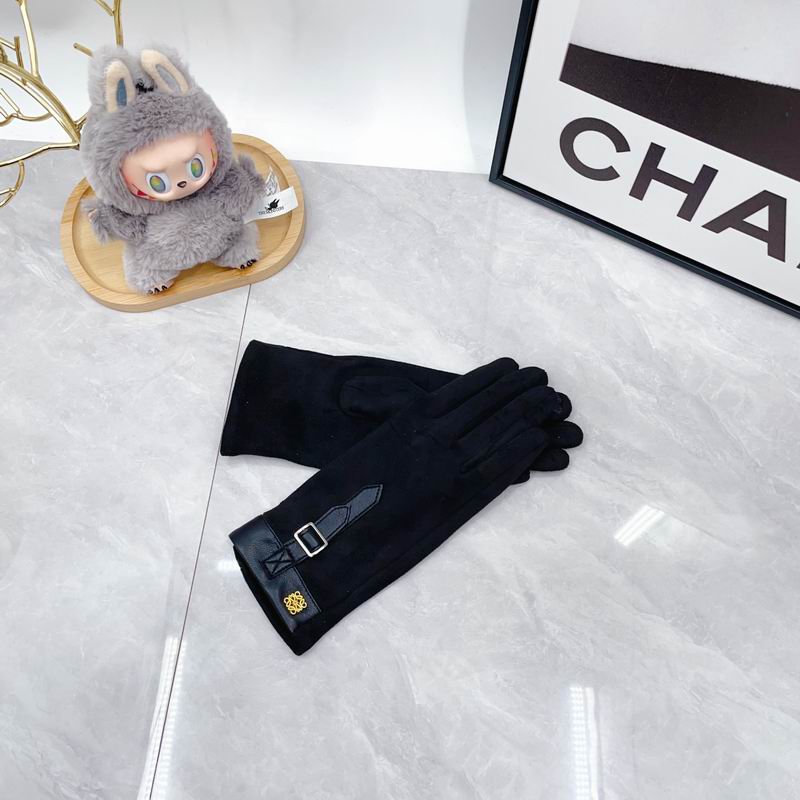 Loewe Gloves dx (71)
