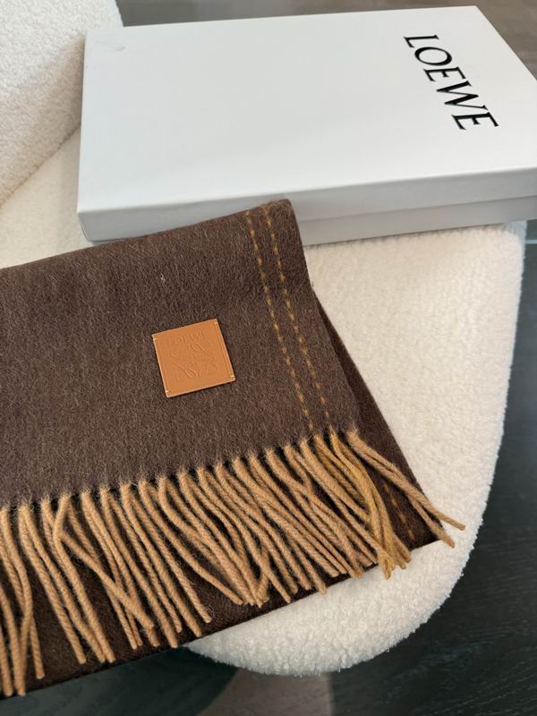 Loewe Scarf 30X180cm E18 (22)