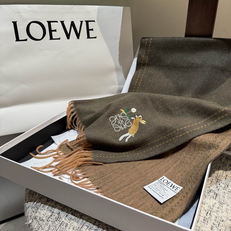 Loewe Scarf 30X180cm E21 (20)