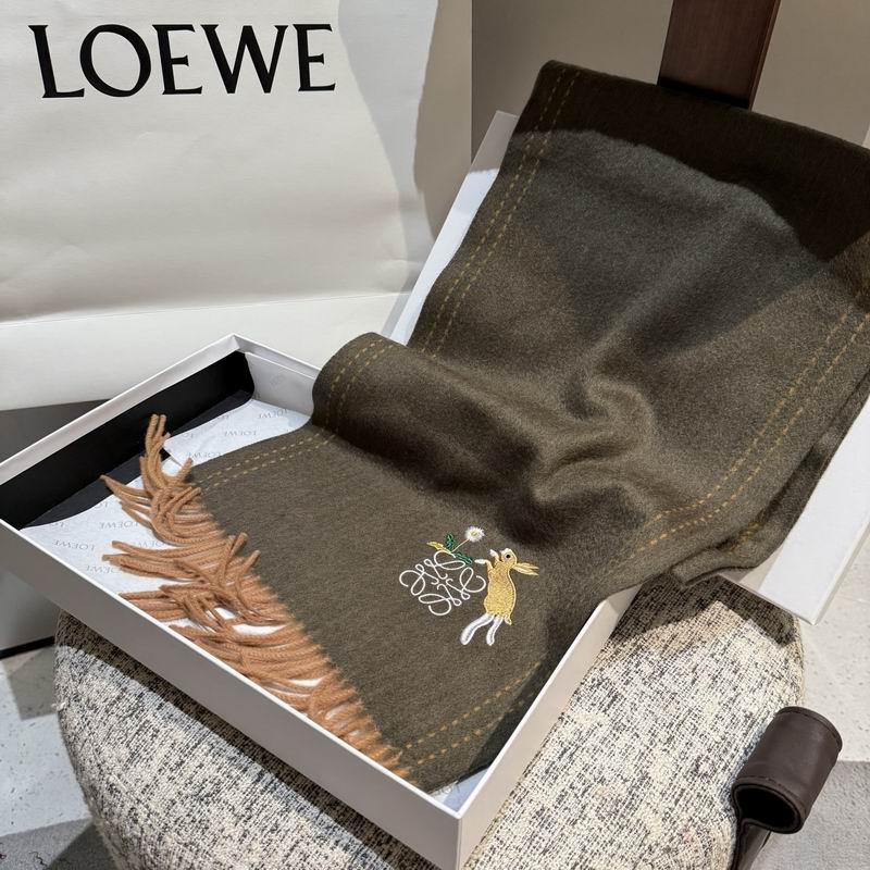 Loewe Scarf 30X180cm E21 (21)
