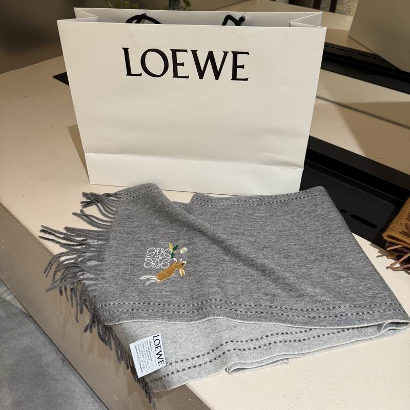 Loewe Scarf 30X180cm E21 (6)