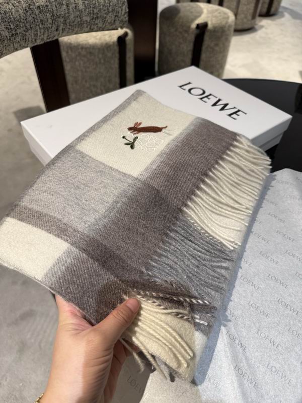 Loewe Scarf 30X180cm E48 (6)