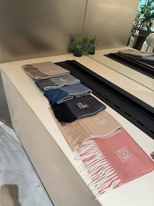 Loewe Scarf 35X180cm E31 (19)