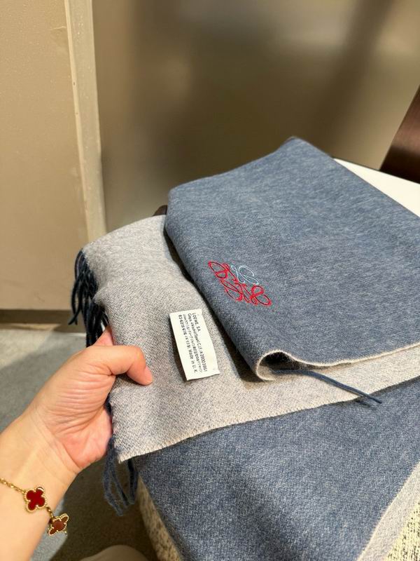 Loewe Scarf 35X180cm E31 (32)