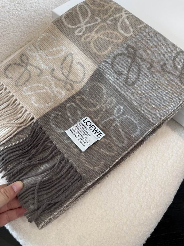 Loewe Scarf 40X200cm E71 (31)