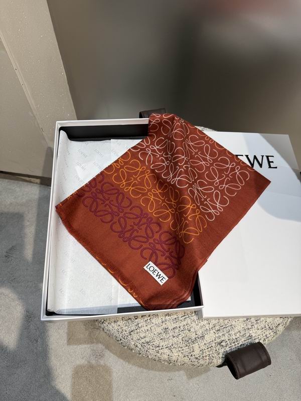 Loewe Scarf 45X200cm E26 (12)