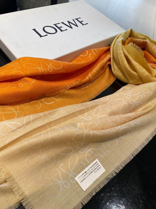 Loewe Scarf 45X200cm E26 (18)