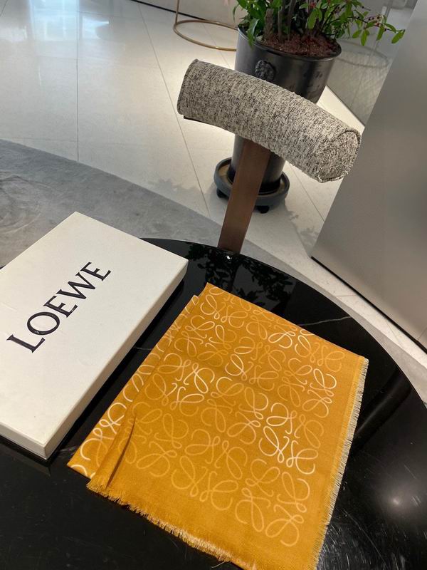 Loewe Scarf 45X200cm E26 (31)