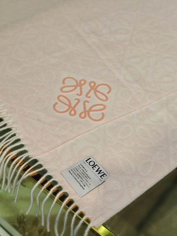 Loewe Scarf E02 (17)
