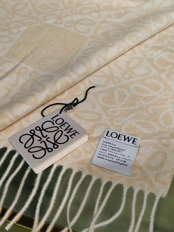 Loewe Scarf E02 (20)