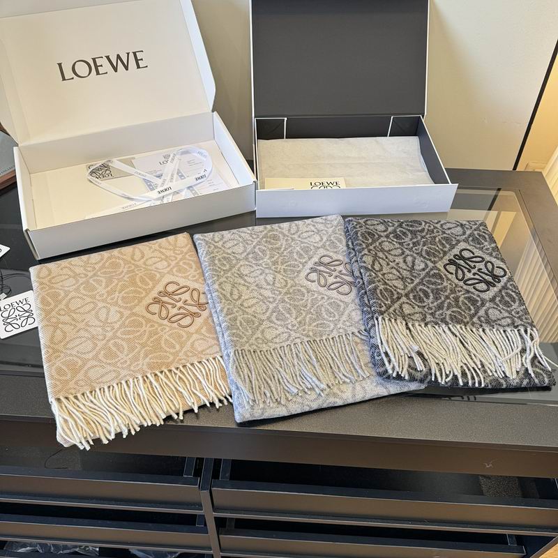 Loewe Scarf hm (12)