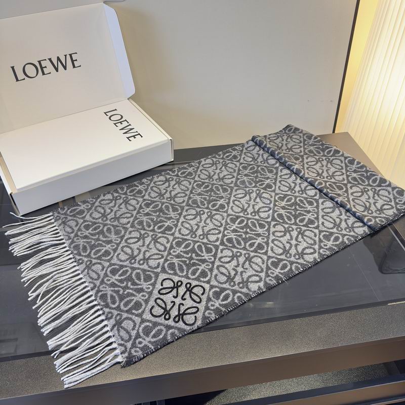 Loewe Scarf hm (38)