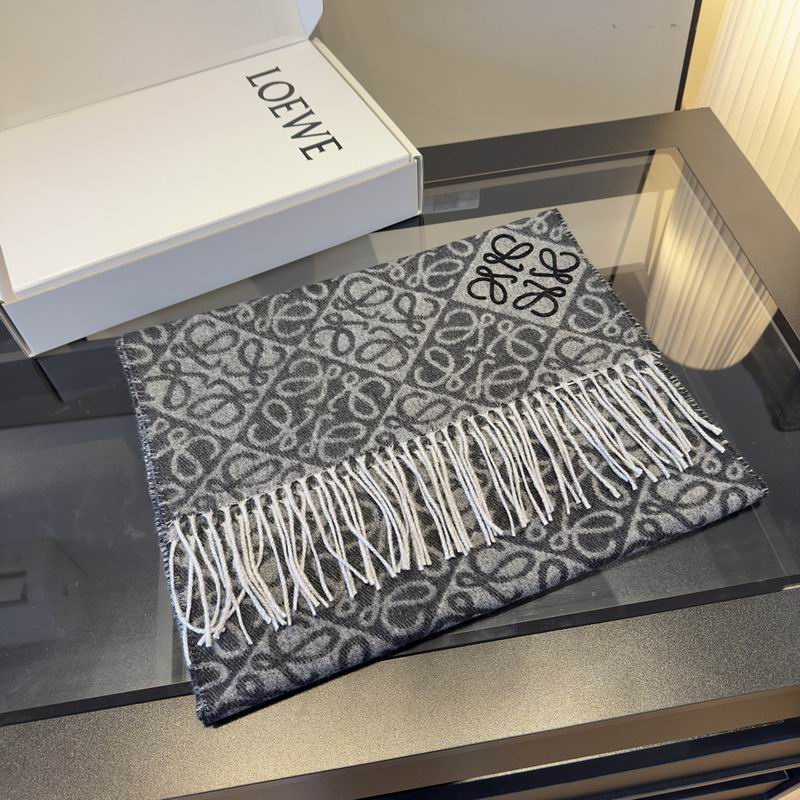 Loewe Scarf hm (39)