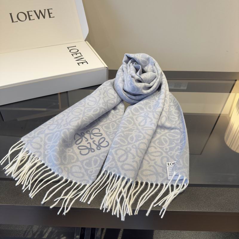 Loewe Scarf hm (41)