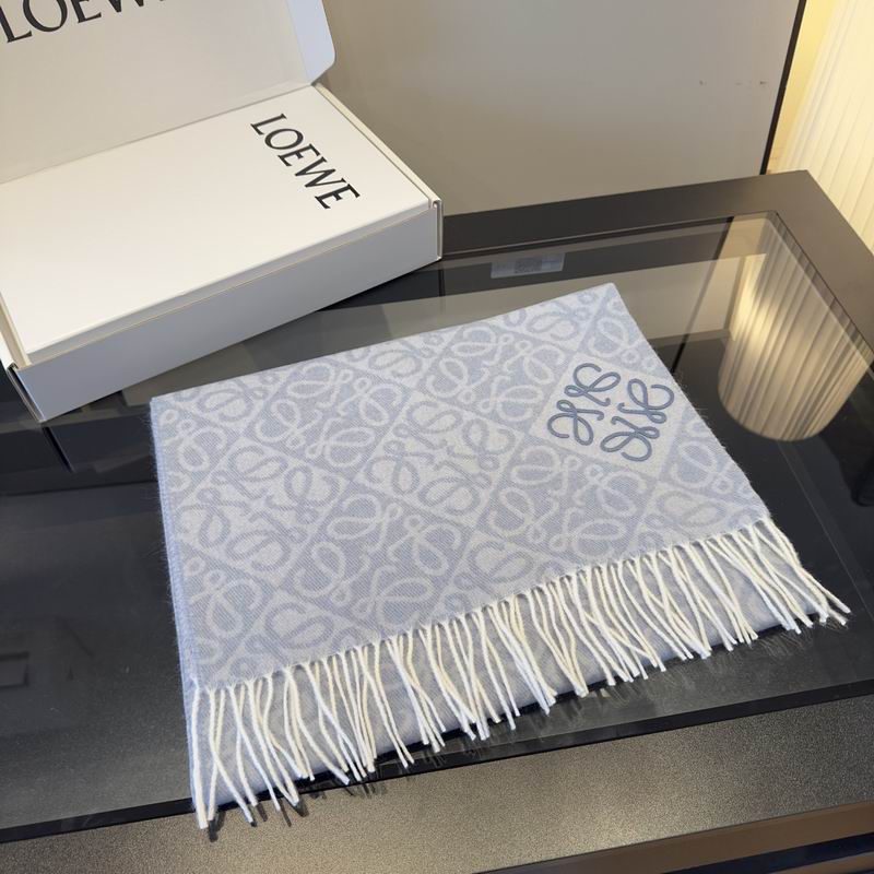 Loewe Scarf hm (43)