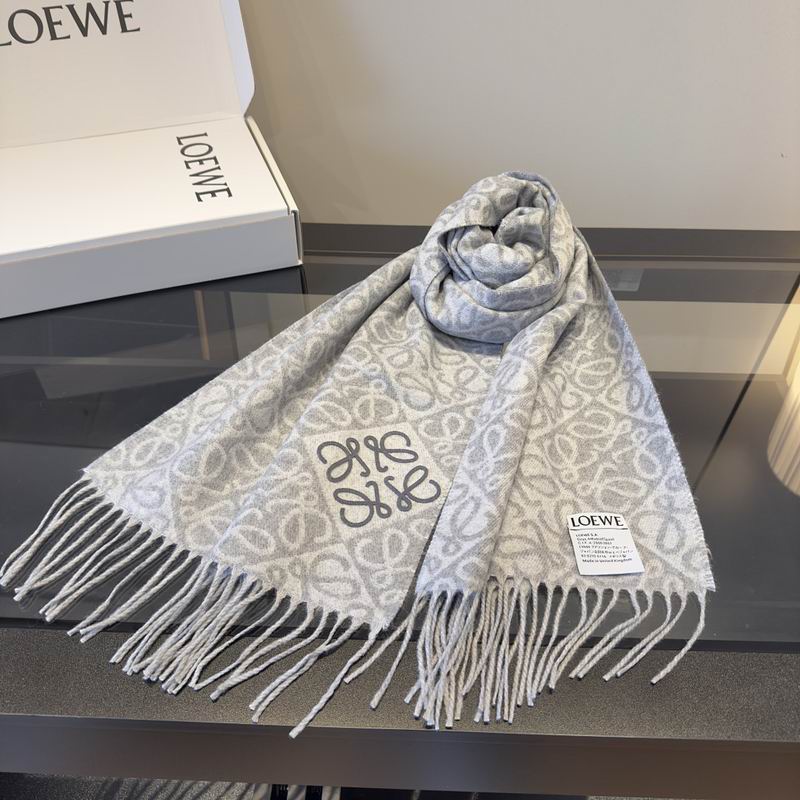 Loewe Scarf hm (45)