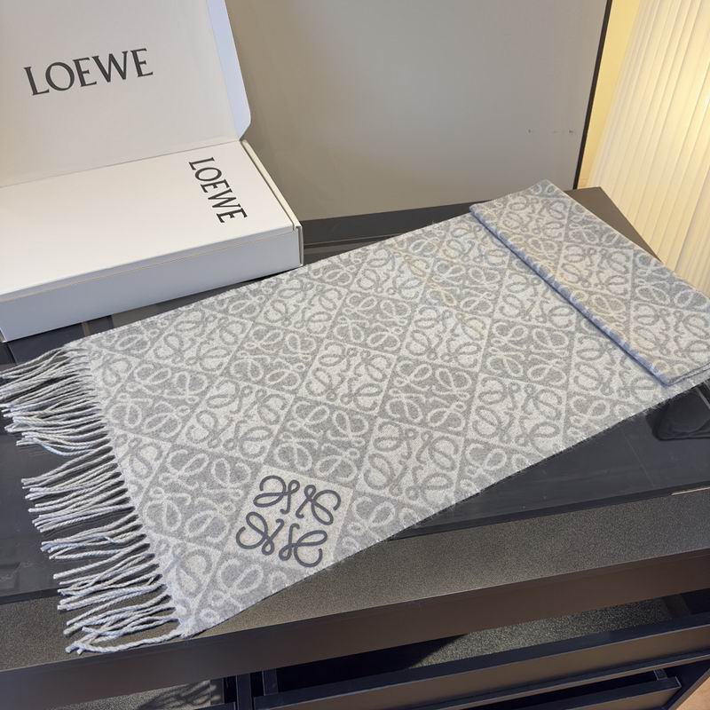 Loewe Scarf hm (46)