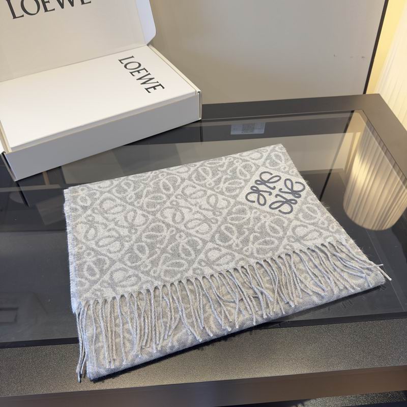 Loewe Scarf hm (47)
