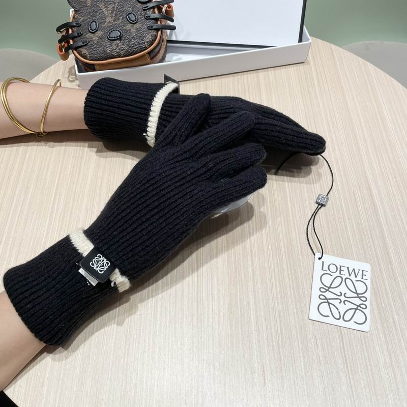 Loewe gloves 52 (1)
