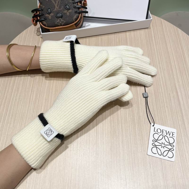 Loewe gloves 52 (11)