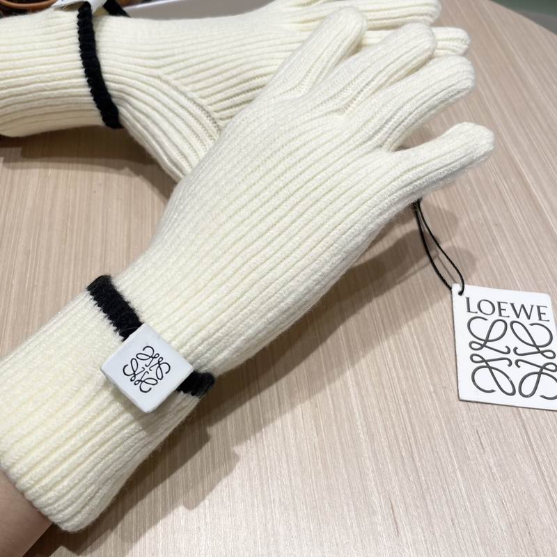 Loewe gloves 52 (13)