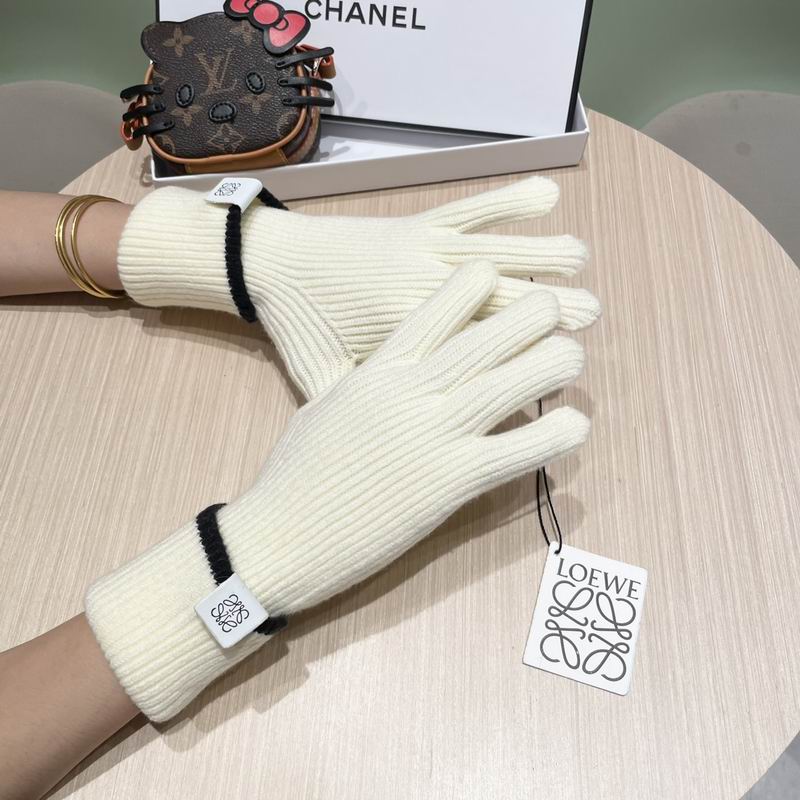 Loewe gloves 52 (14)