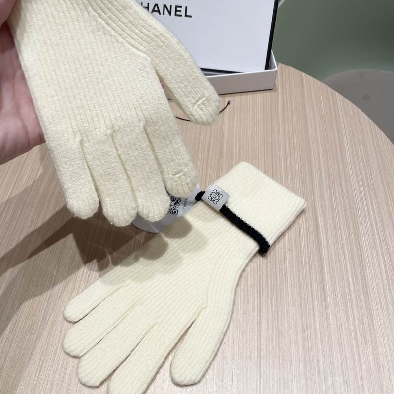Loewe gloves 52 (16)